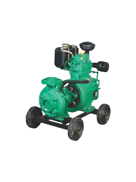 Standard Post with Image