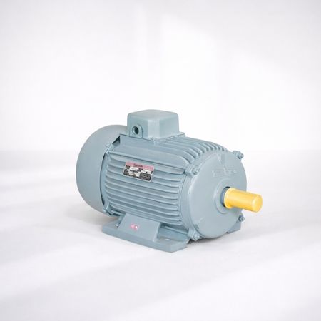 FIELDMARSHAL Standard Induction Motors