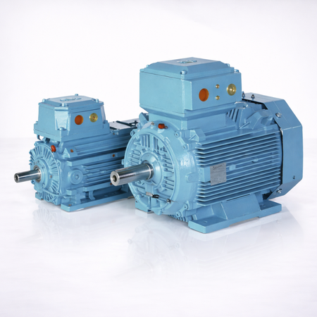 FIELDMARSHAL Flame Proof Motor