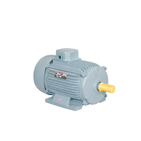 Industrial Motor