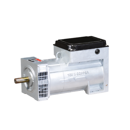 FIELDMARSHAL Single Phase Resistive Type Alternator
