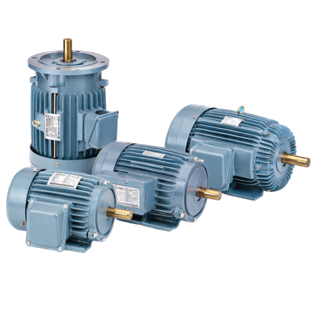 FIELDMARSHAL Flame Proof Motor